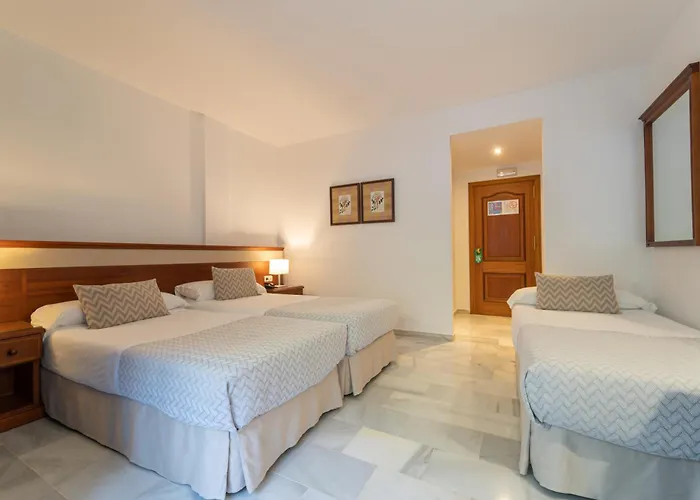 Piedra Paloma By Croma Estepona